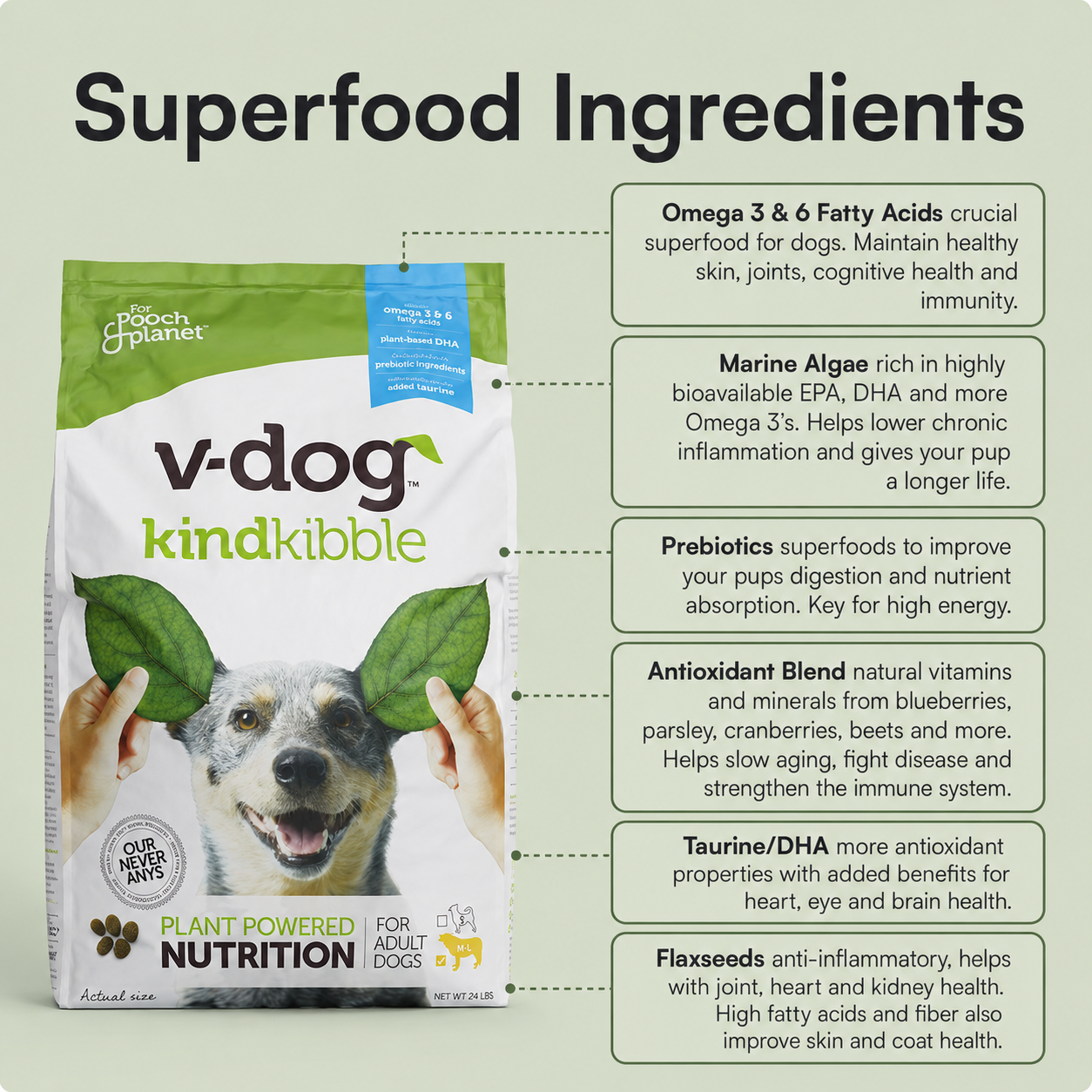 Kind Kibble - small + large