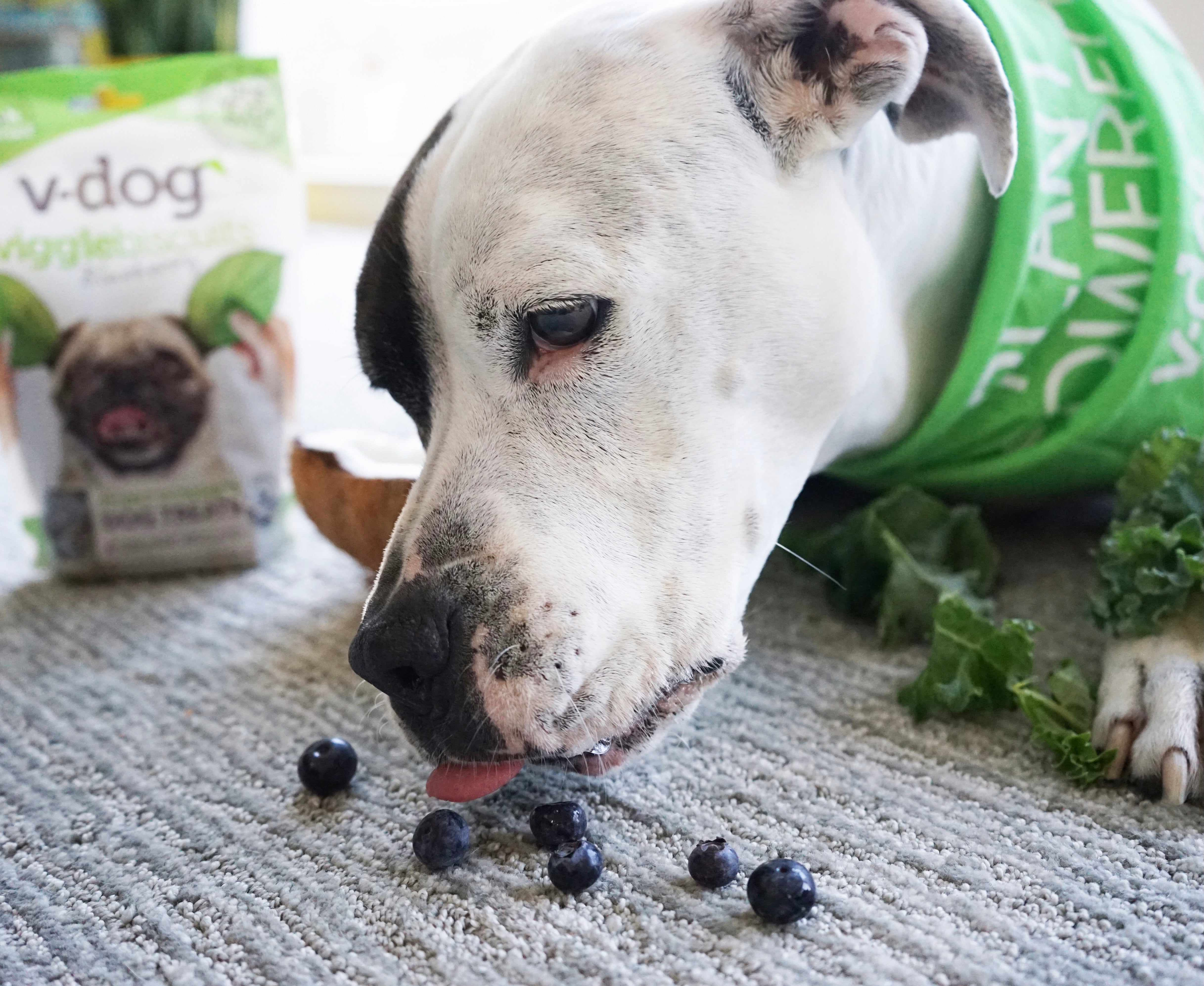 Are blueberries hotsell bad for dogs