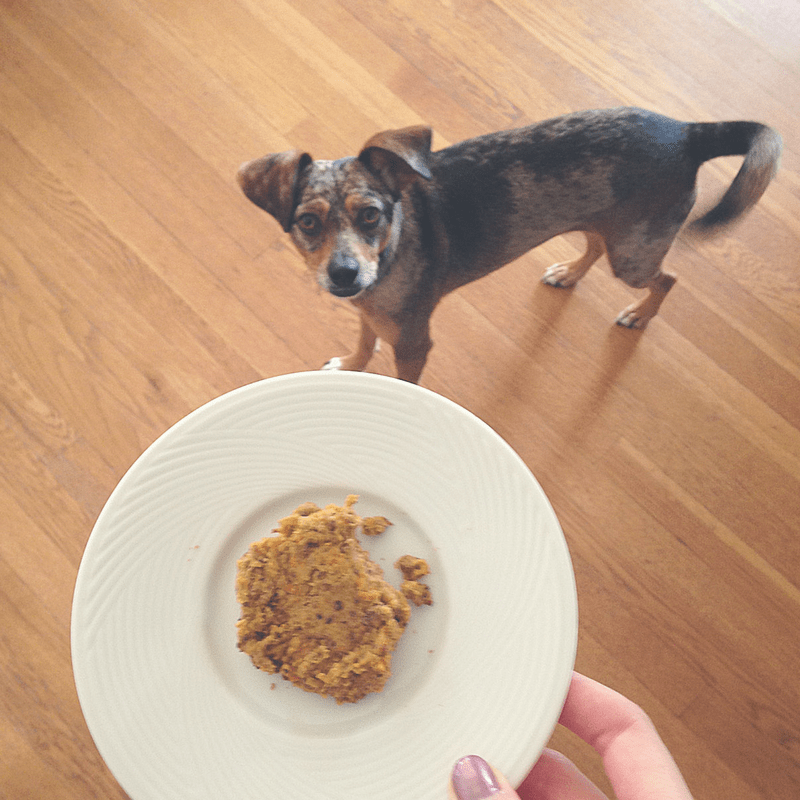Vegan Peanut Butter Dog Cookies [RECIPE]
