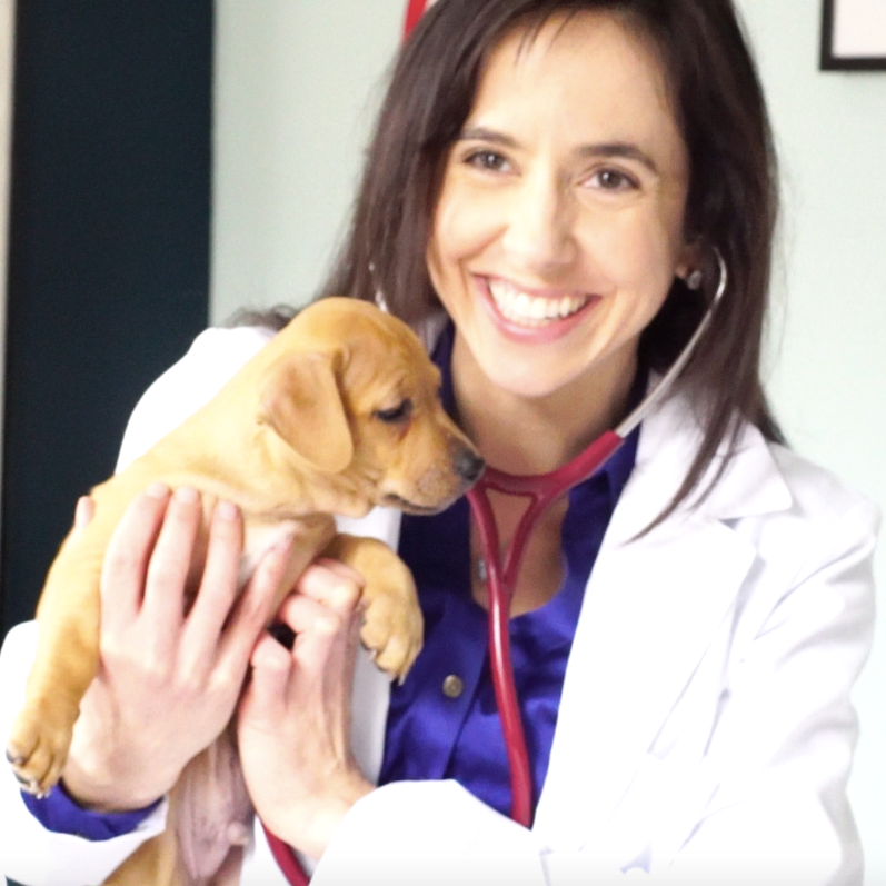 Ask the Vegan Vet: Purines and Urinary Health