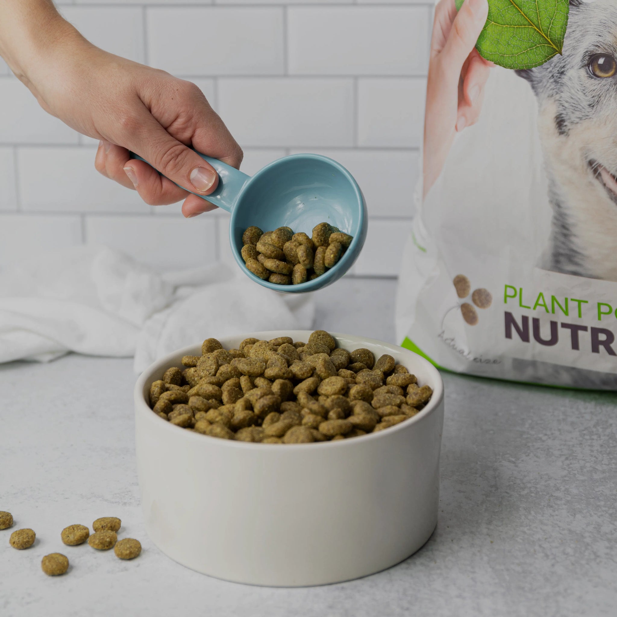 Kibble Confidential: What’s Really in Your Pet’s Bowl?