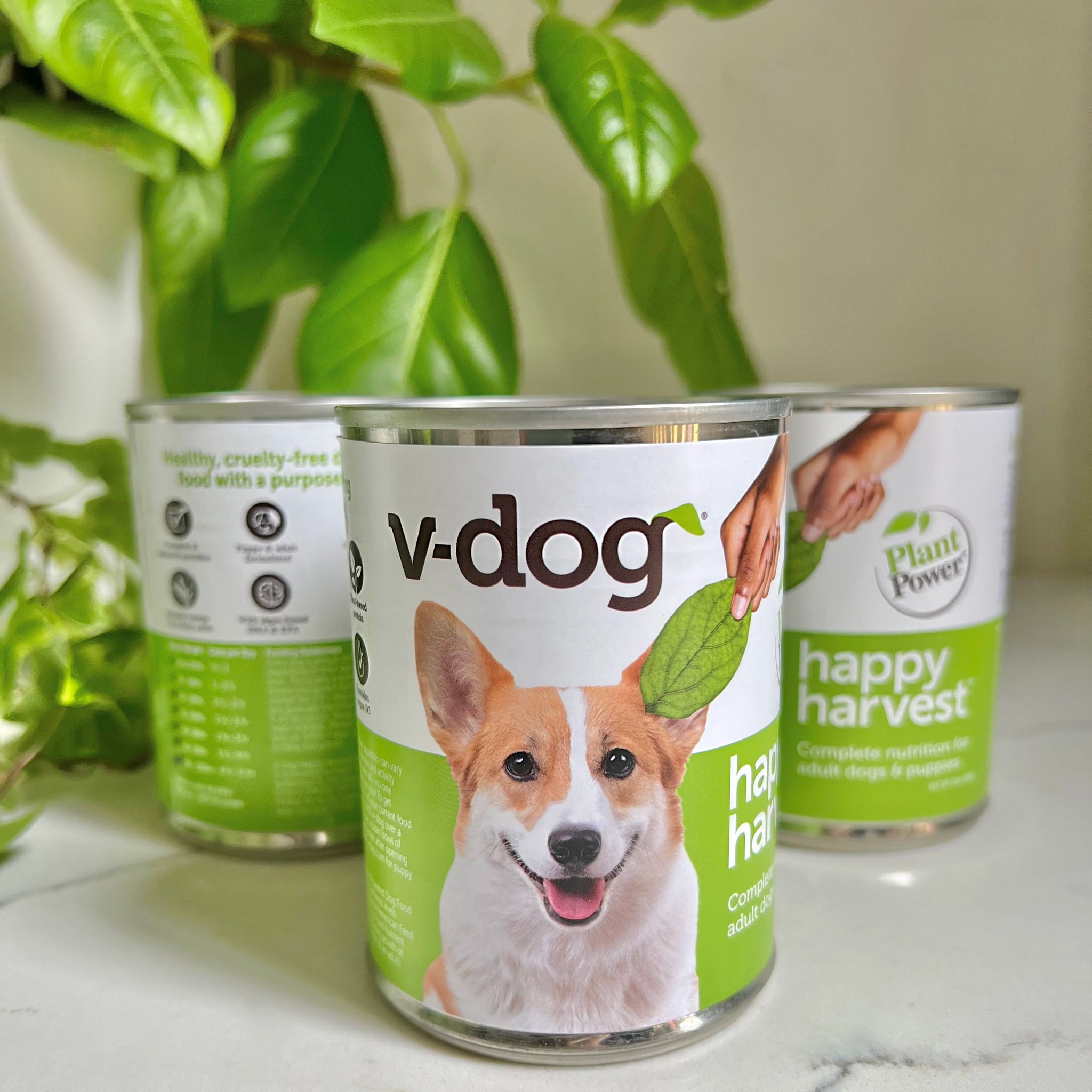 V dog Plant powered Premium Dog Food Treats and More v dog