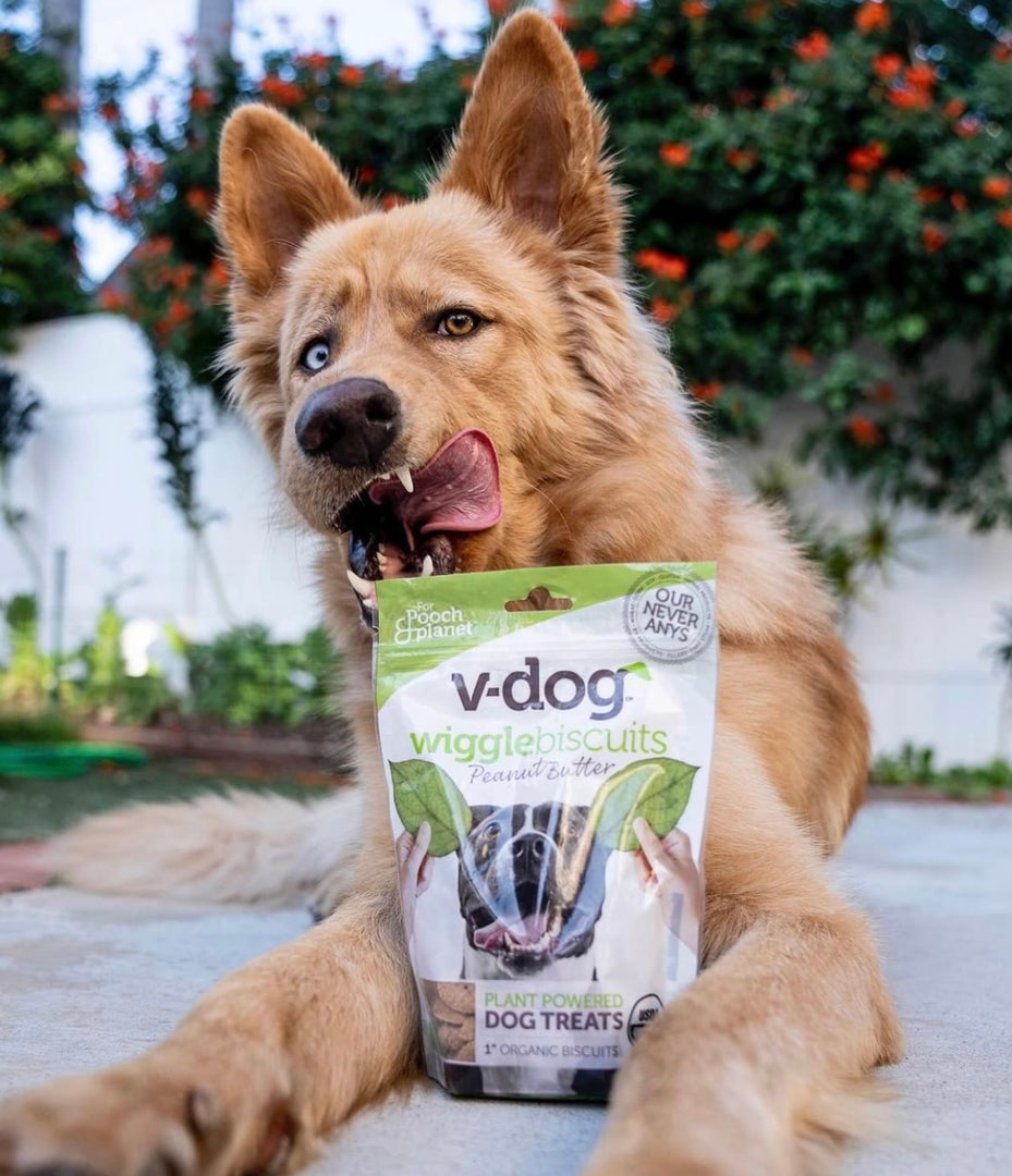 vegan dogs – v-dog