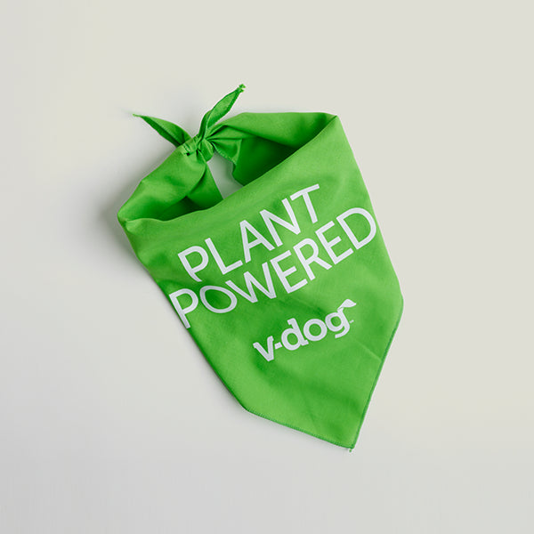 bandana vdog plant powered