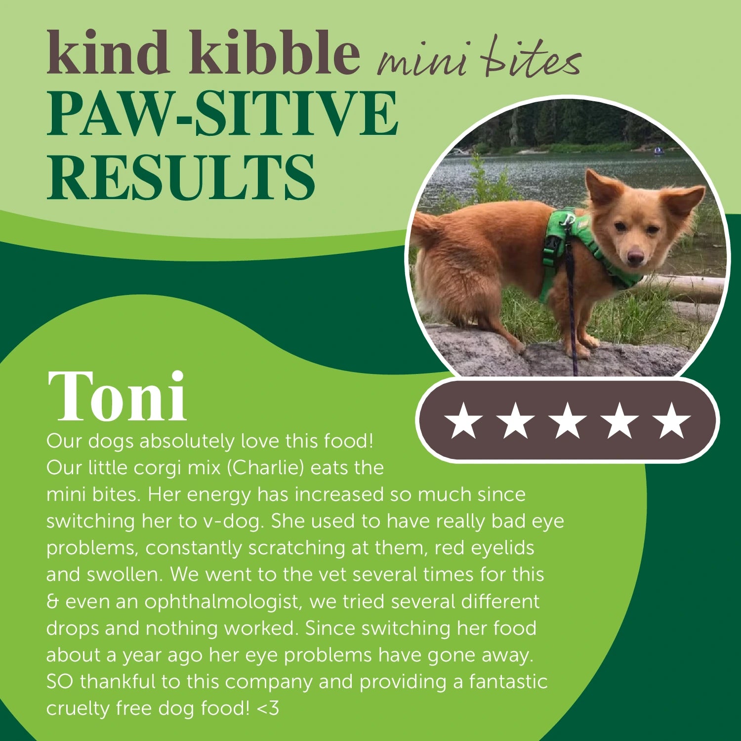 V-dog Mini Bites | Plant-Powered Kibble for Small Dogs – v-dog