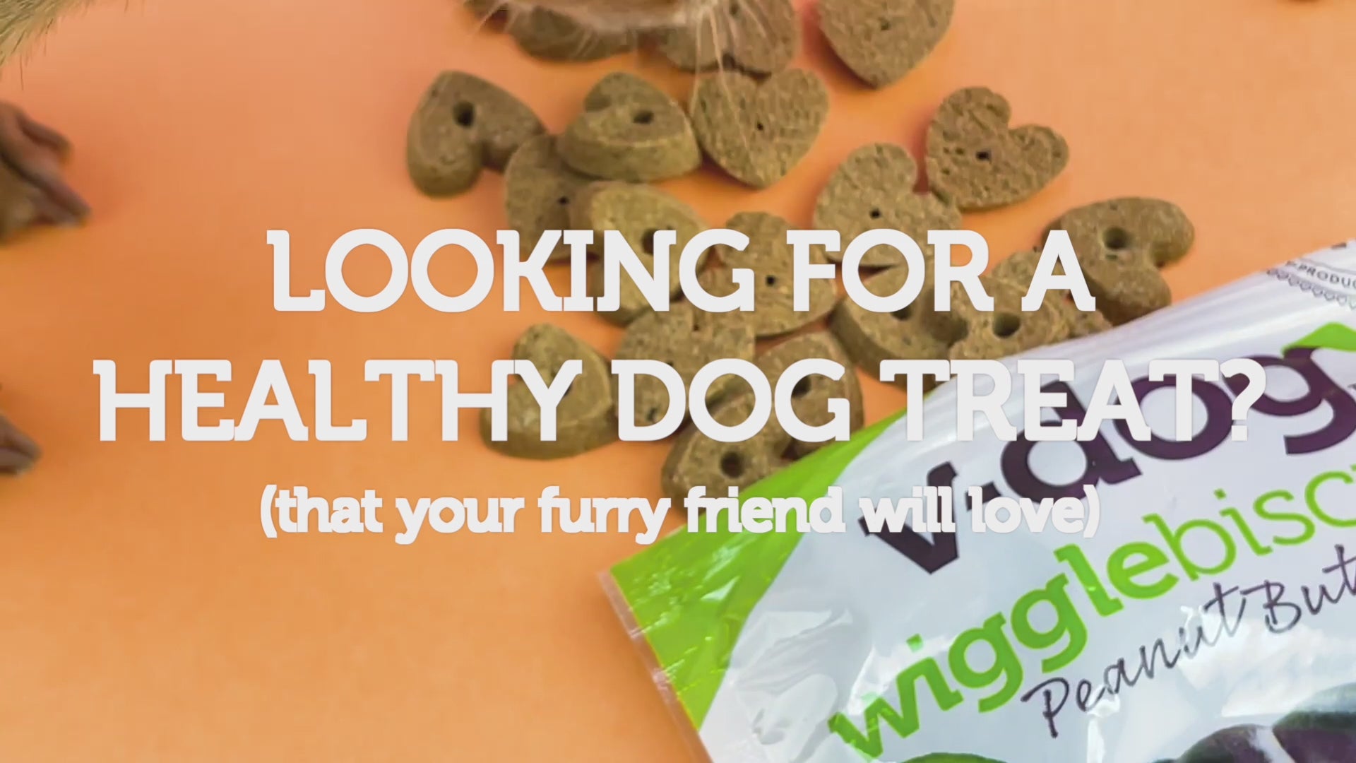 wiggle biscuits  vdog
