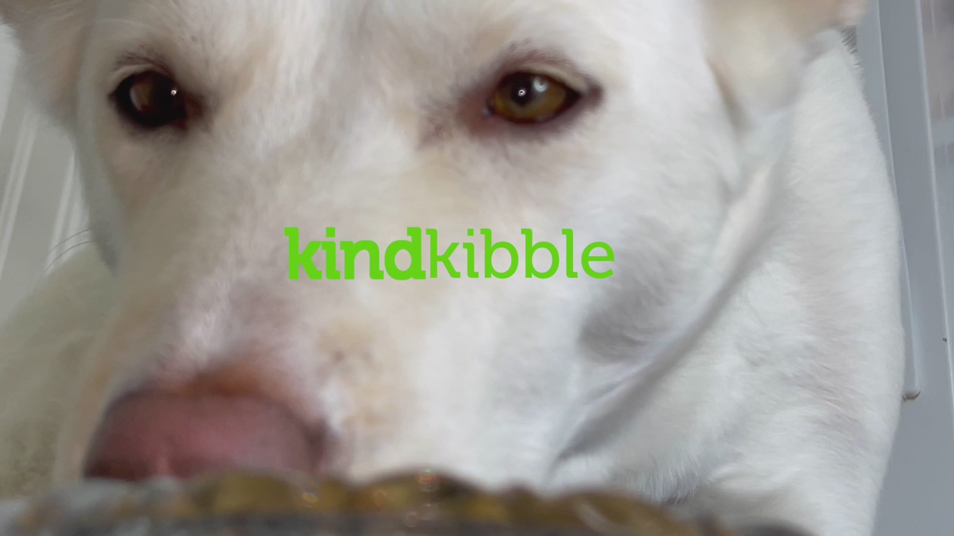 kind kibble