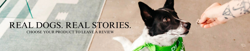 v-dog real stories