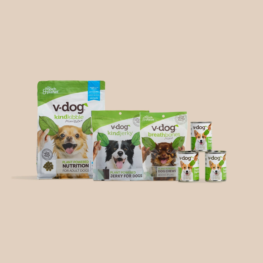 v-dog small dog bundle